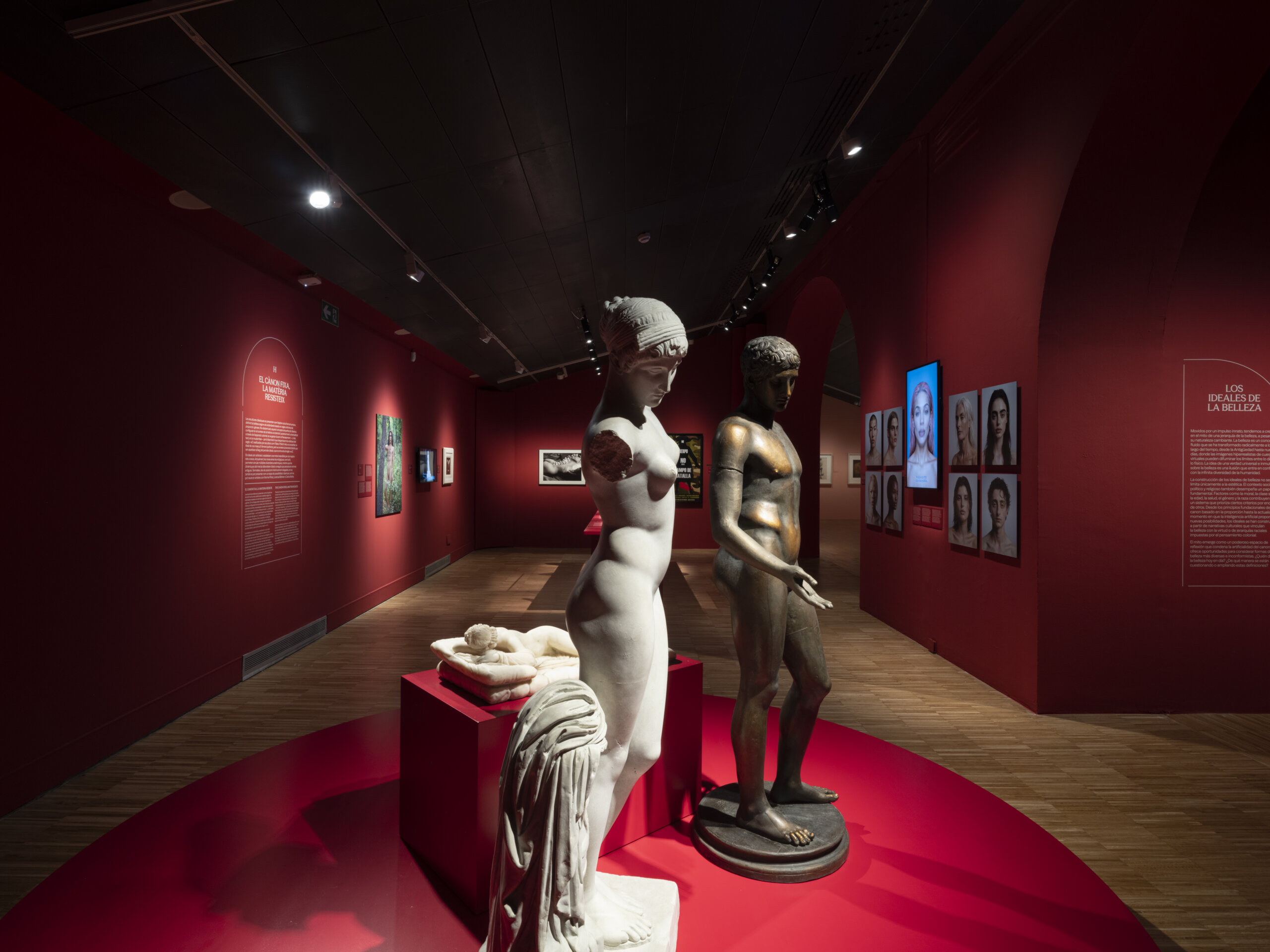 CCCB_Cultealabellesa_0008